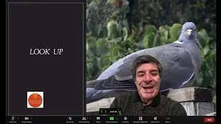Make Zoom Meetings More Engaging and Use a PowerPoint as a Virtual Background