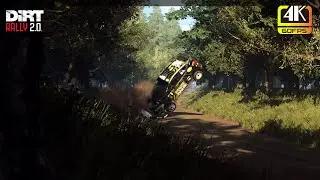 Wonderful accident footage ★ DiRT Rally 2.0 ★ [4K 60fps]