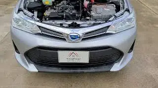 2018 Toyota Corolla Fielder(2)