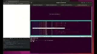 Firefox SpecialPowers + debugging demo