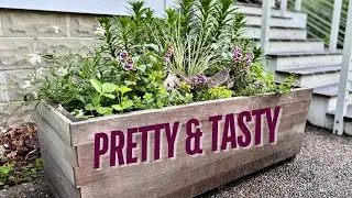 Ornamental + edible container 🌿 Mix it up!