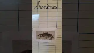 Conscience phonologique : définition