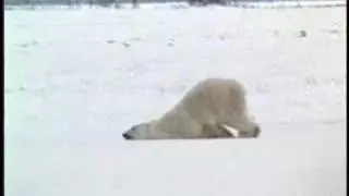 Going to work on monday