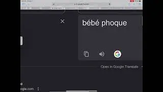 Translating baby seal in French (gone wrong)