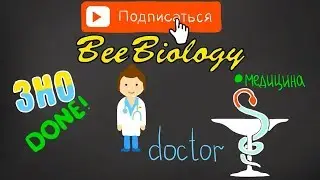 BeeBiology - Подготовка к ЗНО / Изучение Биологии / Медицина / Медицинский ВУЗ /
