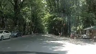 Qaranlıq Meşə İsmayilli Qəbələ Yolu