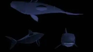 Maya Shark Overlap Animation