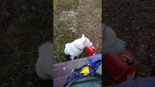 Охота)))