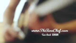 Two Rock Sensor 35, "Your Style, Amplified"