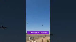 FLEW ABOVE MY HEAD BEFORE LANDING #f16 #fighterjets #shorts