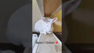 новые девочки очень быстро стали подружками 🤩 