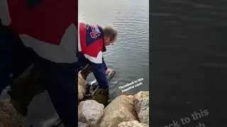 beautiful  northern Pike #fishing #iowa #like #shorts #youtubeshorts #fish #nature #ytshorts #short