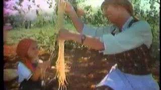 The Spaghetti 