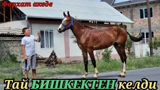 FARKHAT AKEGE CAME FROM BISHKEK👍August 10, 2022
