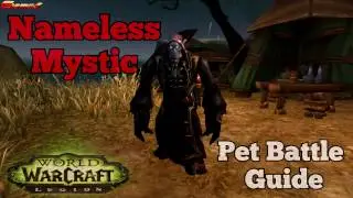 Nameless Mystic Pet Battle Guide - Legion
