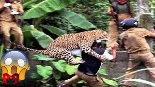 Warga Sekampung Heboh Lari KETAKUTAN !! Saat Macan Tutul Keluar Dari Dalam Rumah Dan Mengamuk