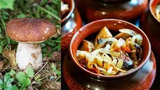 Собираем Грибы в Лесу 🌲 БЕЛЫЕ ГРИБЫ В Горшочках с Картофелем