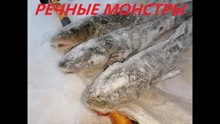 РЫБАЛКА!!! ЯКУТИЯ РЕКА АЛДАН №6 !!! ПРОВЕРКА НОВОГО ПЕРЕМЕТА!!! 2021-2022