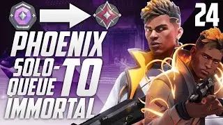 PHOENIX TO IMMORTAL Episode 24 