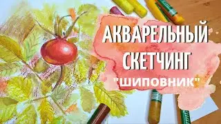Скетч акварелью: шиповник в смешанной технике. speedpaint