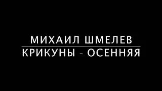Михаил Шмелев; песня под гитару; Чтец TV
