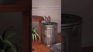 Food at 3 am after a night out