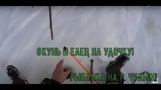 Рыбалка на окуня и ельца! Рыбалка на реке Чулым!