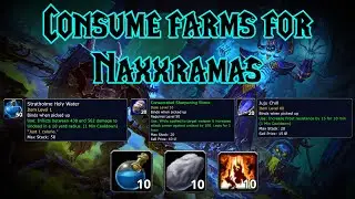 WOW Classic - Different consumable farms for Naxxramas