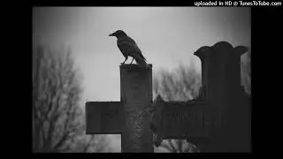 [FREE] NIRVANA GRUNGE TYPE BEAT 
