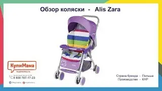 Обзор коляски-прогулки Alis Zara (бюджетный хит)
