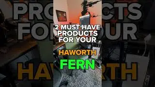 New #Haworth Fern? Two Must Have Accessories!