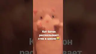 28 декабря 2022 г.