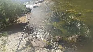 Рыбалка на хариуса в Западной Сибири