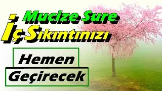 İç Sıkıntınızı Hemen Geçirecek Sizi Ferahlatacak Mucize Süre & SADECE DİNLE
