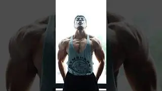 Day 122 | Chest, Shoulders & Triceps