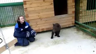 Маша и Даша