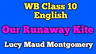 Our Runaway Kite / Our Runaway Kite Class 10 