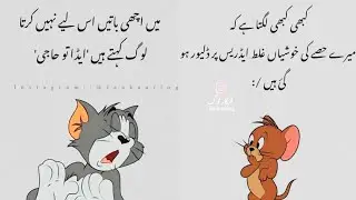 Funny WhatsApp profile picture/dpz/status