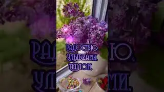 Пусть Ваш день наполнится Добром!
