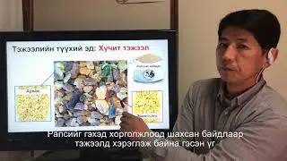 Гүзээний хөгжил