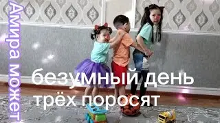 Амира может. Три поросёнка. безумный день. #toys #тренды #настя #vlog #детскийканал #nastya