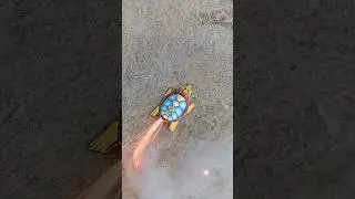 mercon kura kura kentut 