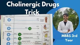 Cholinergic Drugs Pharmacology || Learn And Understand In A Very Easy Way
