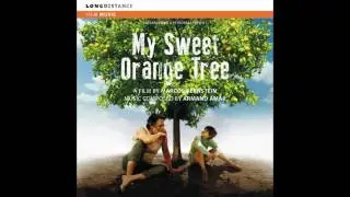 Armand Amar - Memories of the Past (From  My Sweet Orange Tree)