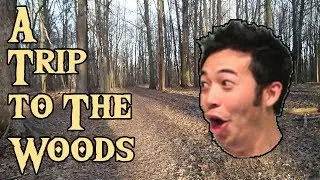 A Trip To The Woods