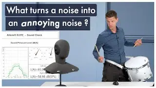 Analyzing annoying noises using the Relative Approach