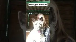 Ласковая и игривая Халва ждёт маму ❤️