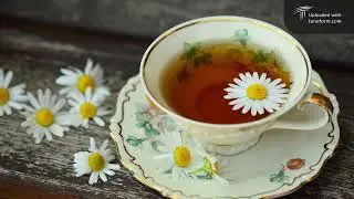 Чайчик пей и на всё забей