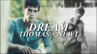 Thomas & Newt || Everything's a mess
