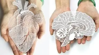 Impressive Hand-Cut Anatomical Organs Out Of Paper By Ali Harrison